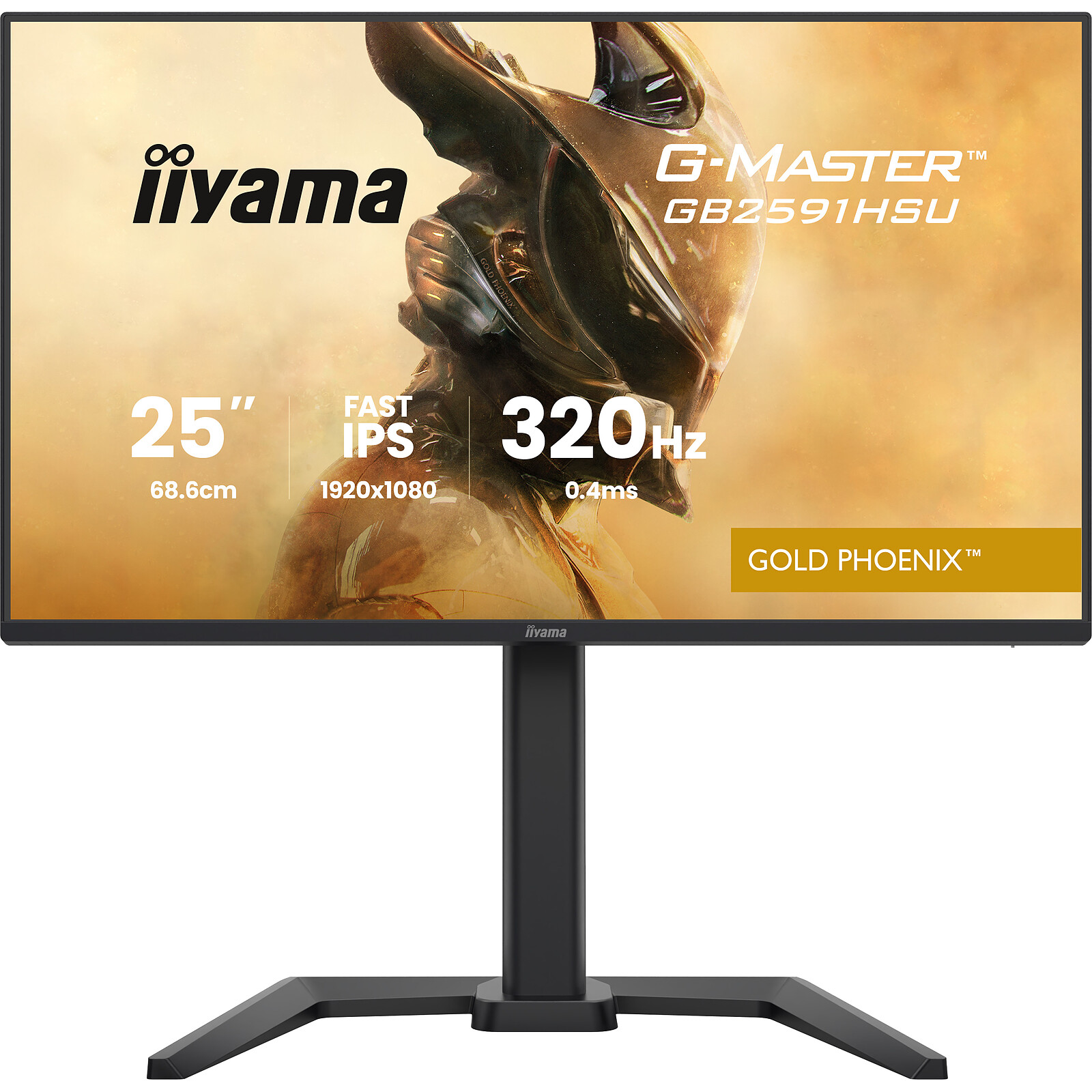 IIYAMA Écran PC Gamer GB2591HSU-B1 24.5