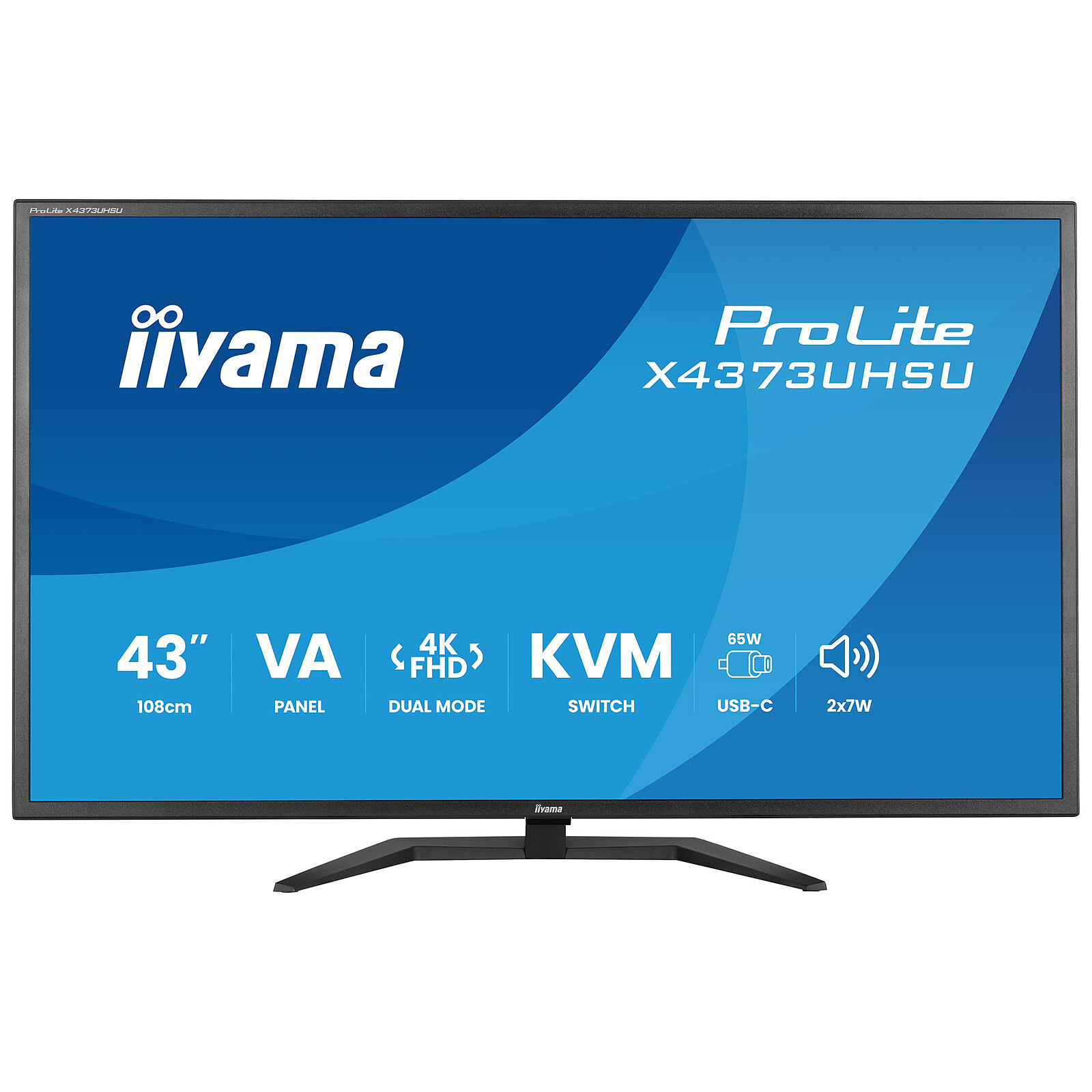 IIYAMA Ecran PC 43