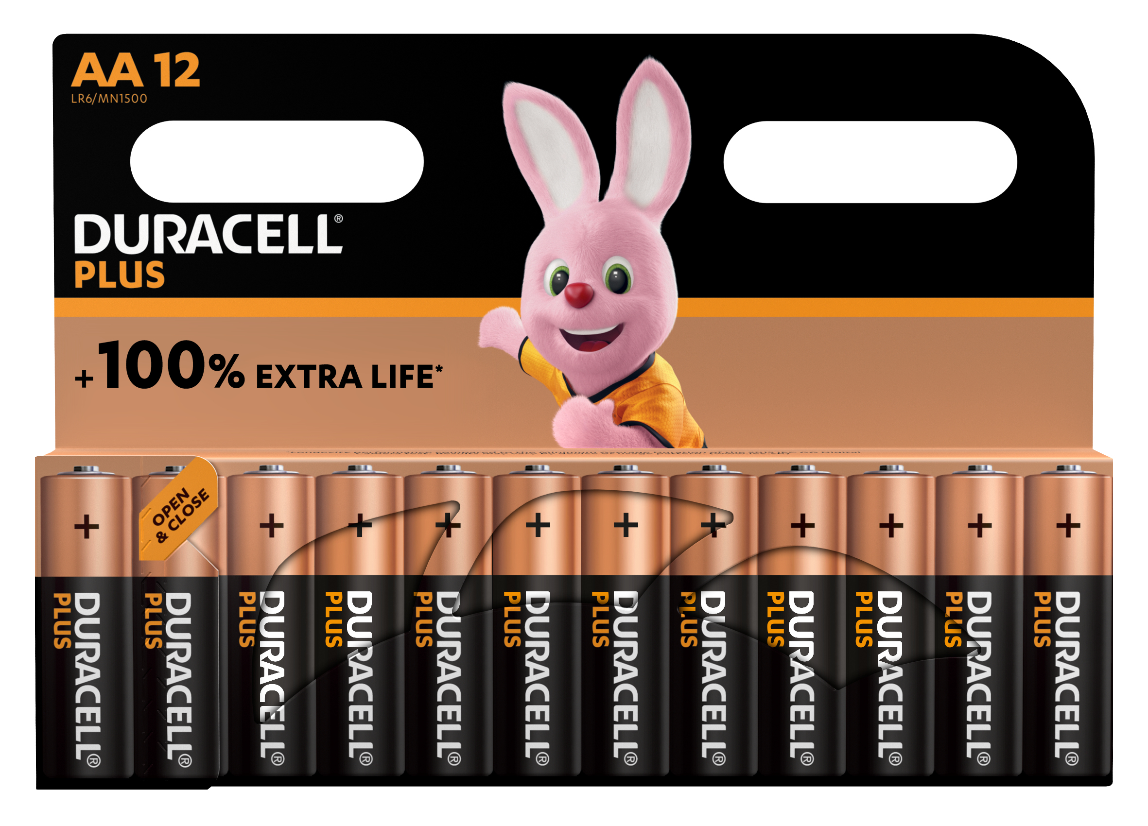 Duracell Pack de 12 Piles alcalines Plus type LR6 AA