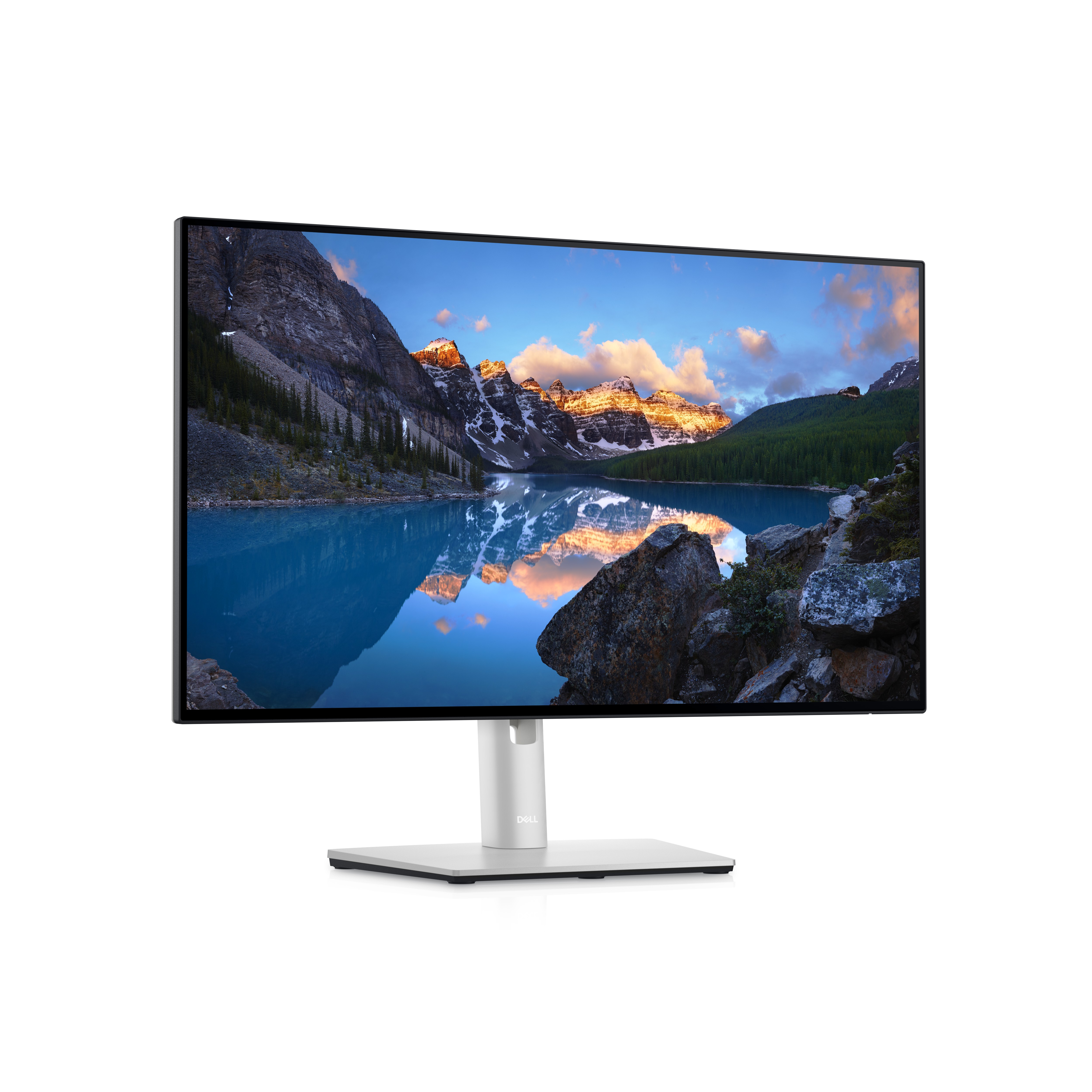 DELL UltraSharp 24 Monitor