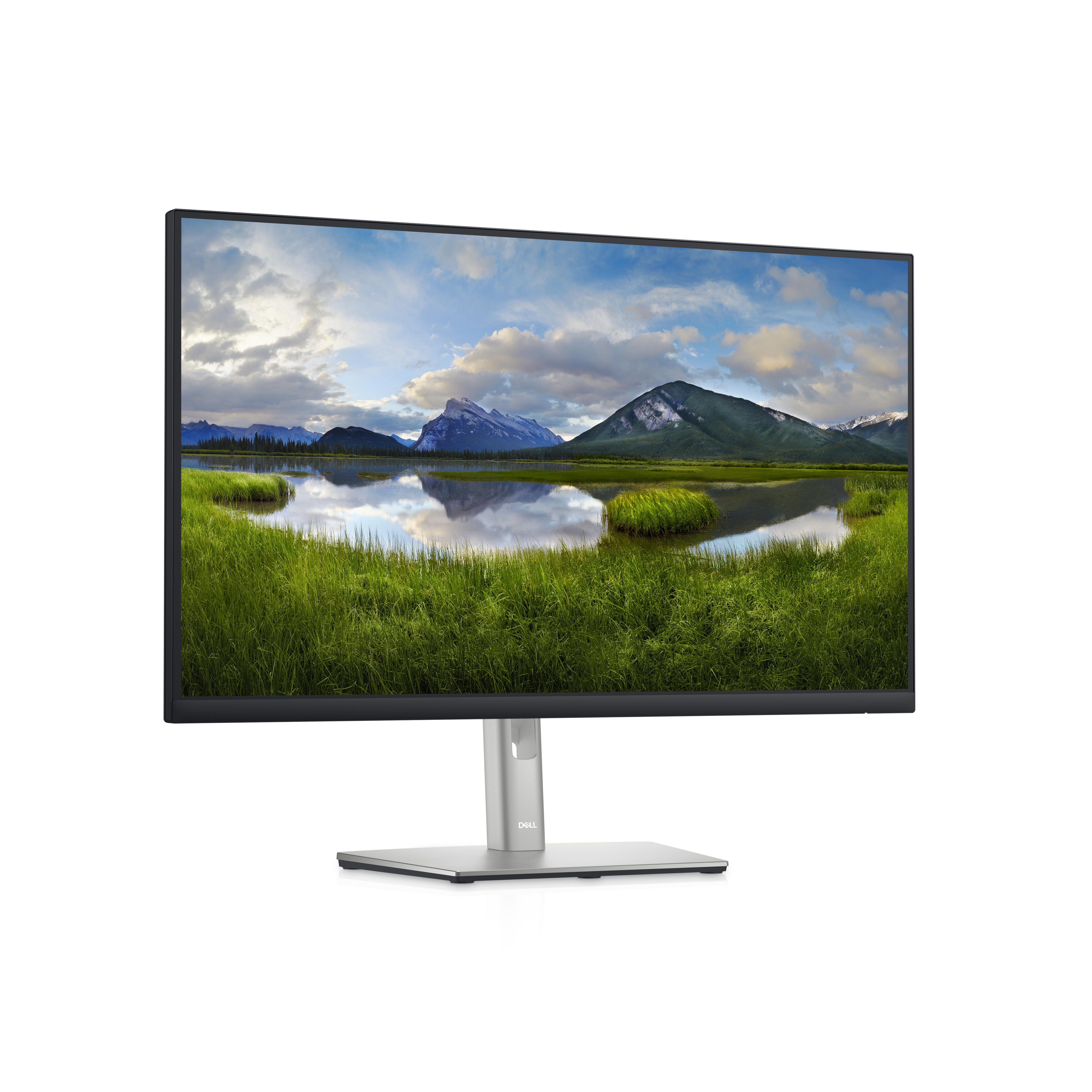 DELL Dell 27 Monitor