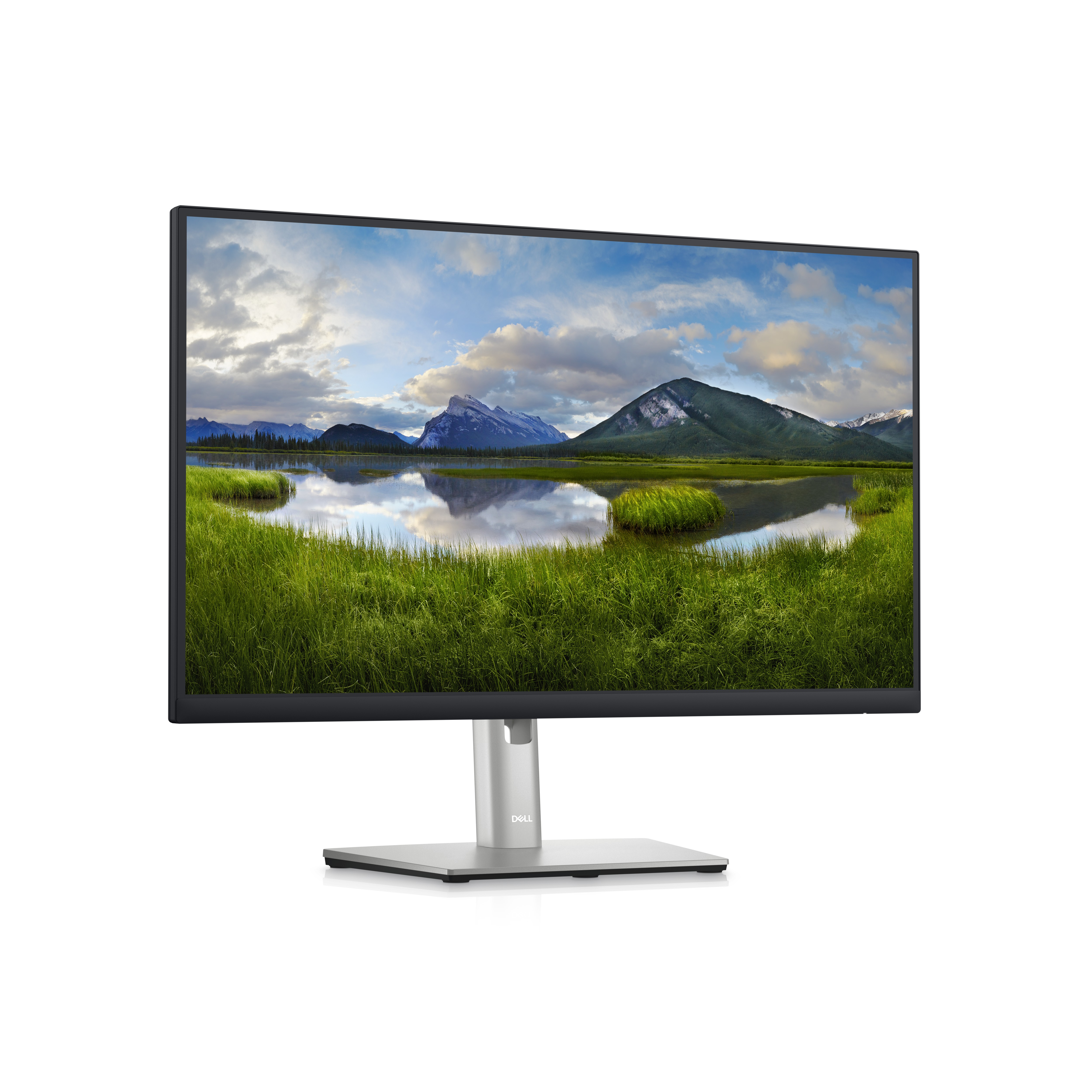 DELL DELL Dell 24 Monitor