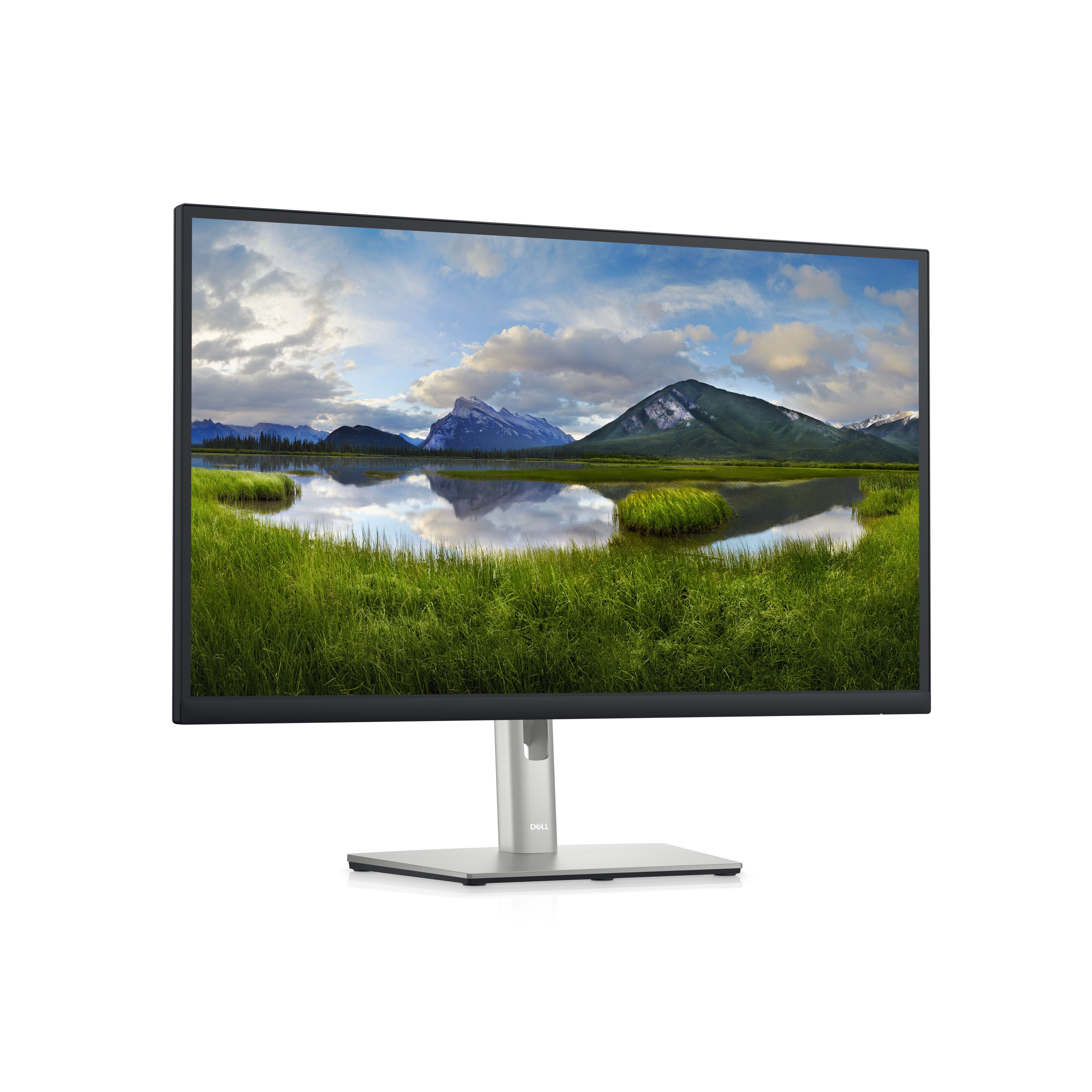 DELL DELL Dell 27 Monitor