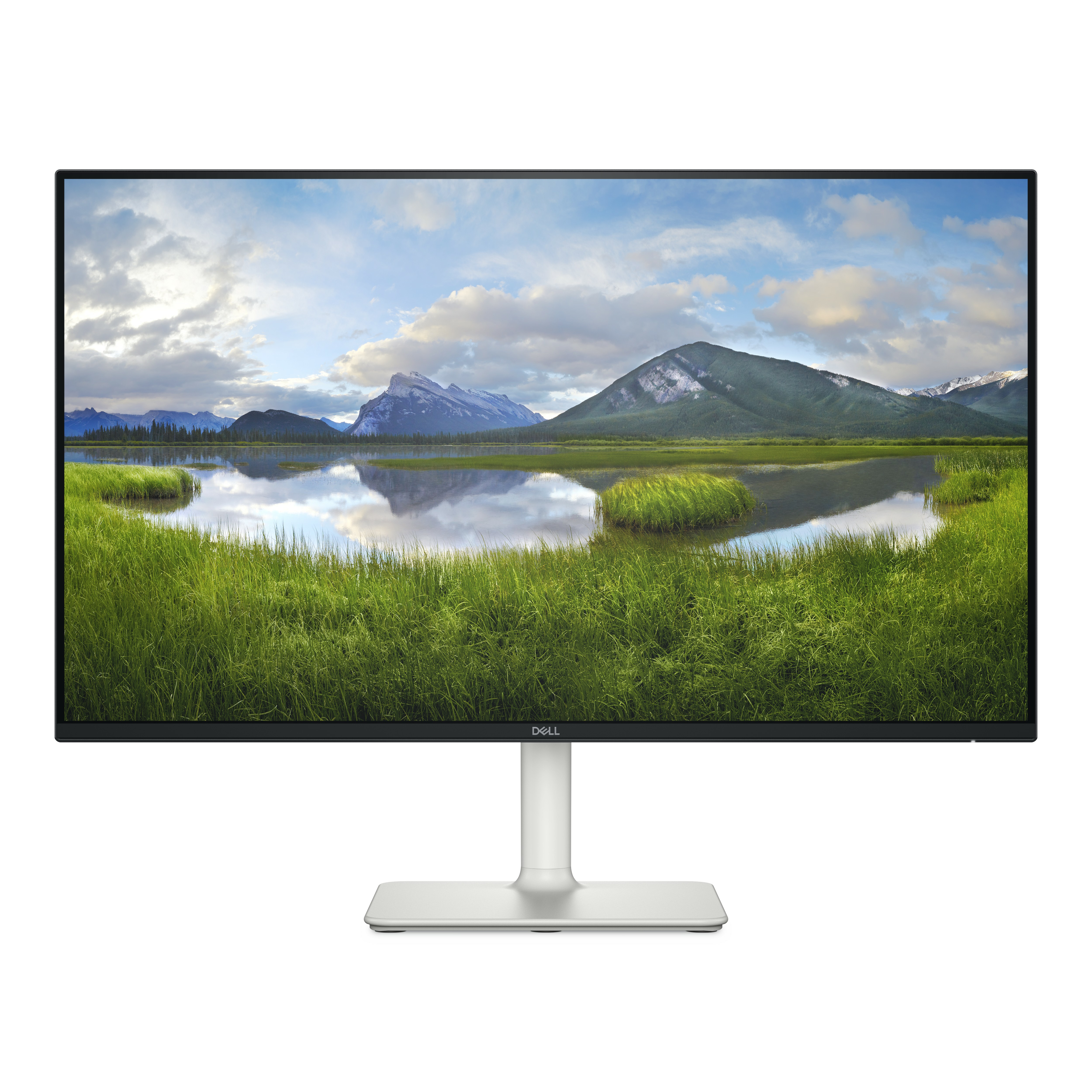 DELL Dell 24 Monitor