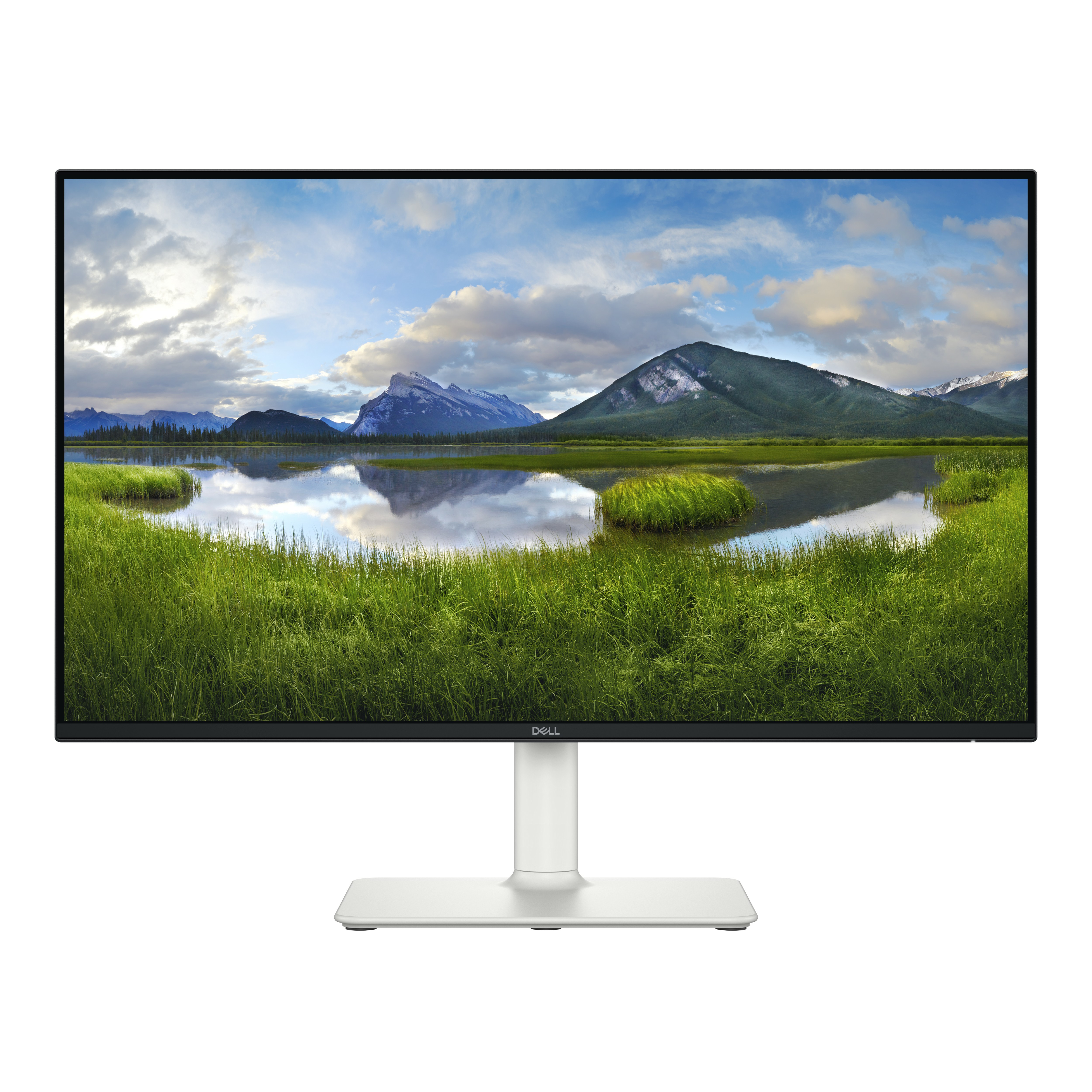 DELL Dell 24 Plus Adjustable Stand Monitor