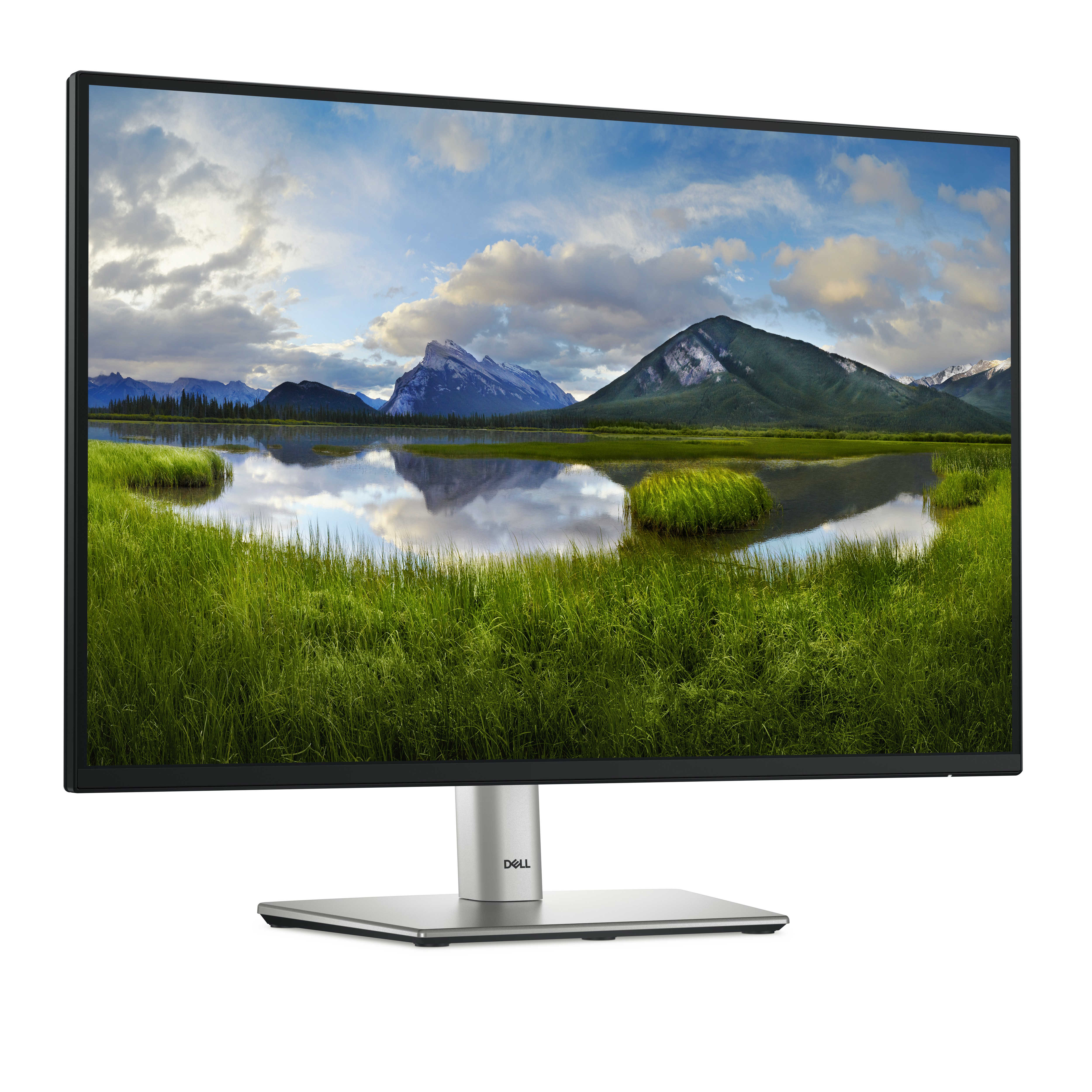 DELL Dell 24 Monitor