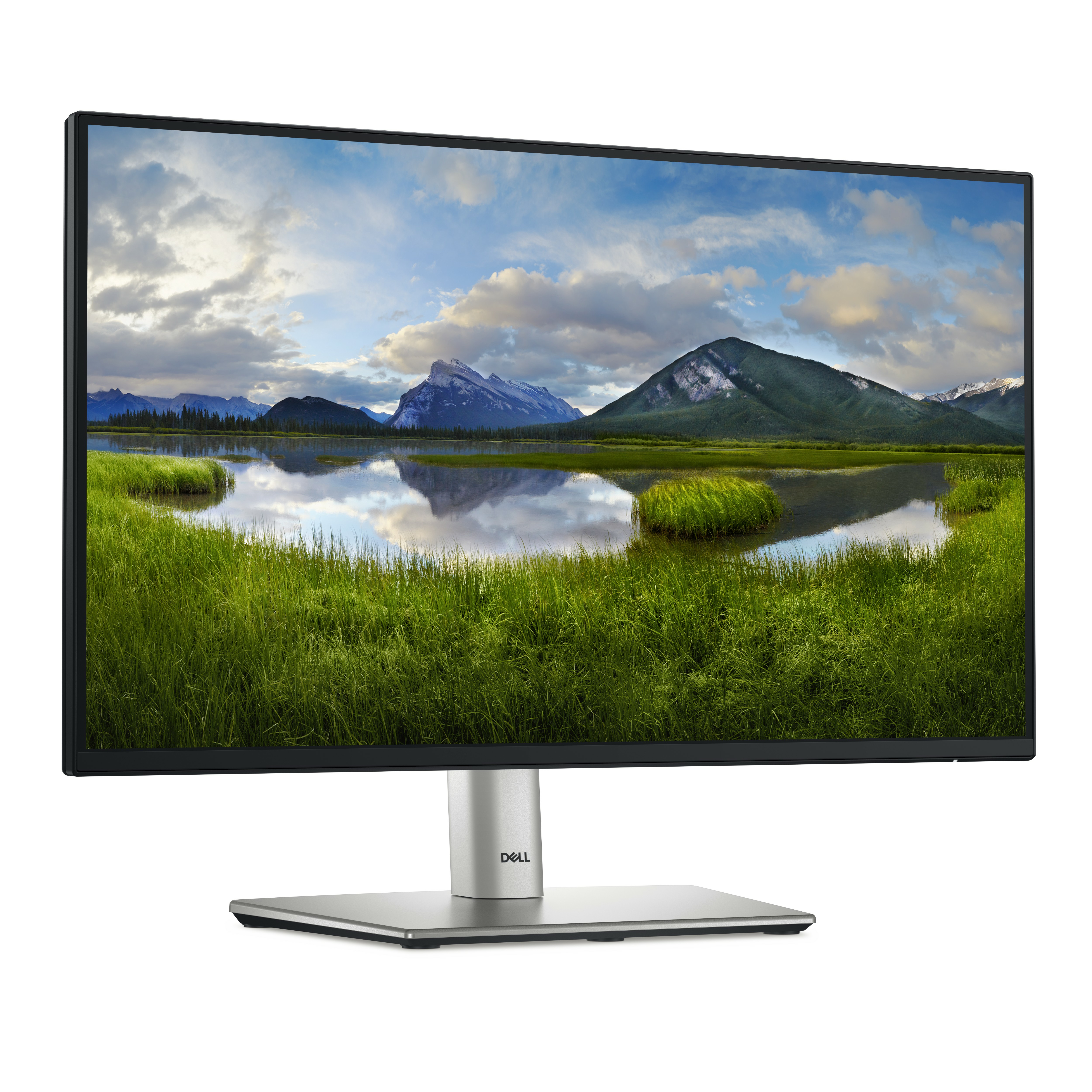 DELL 22 Monitor