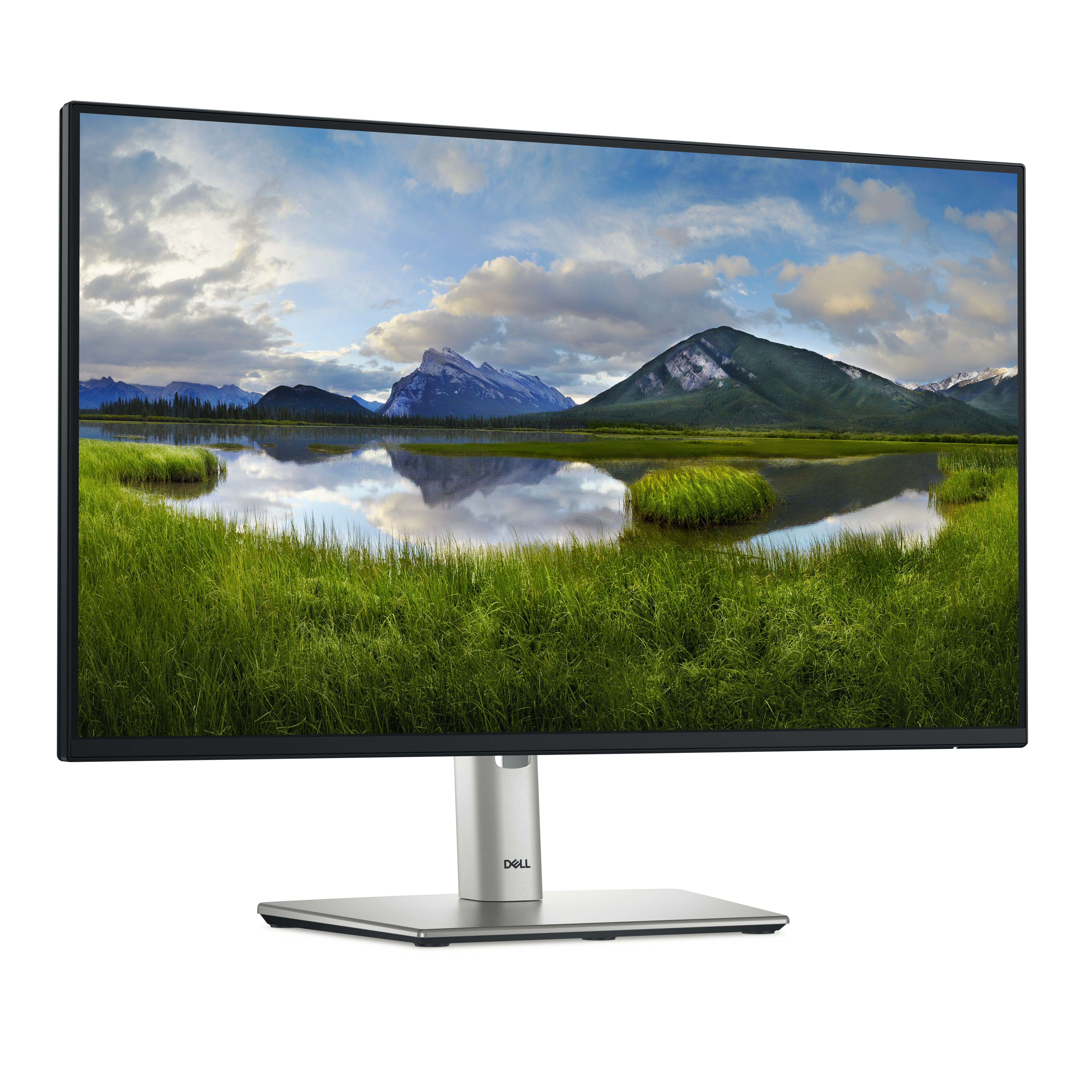 DELL 24 Monitor