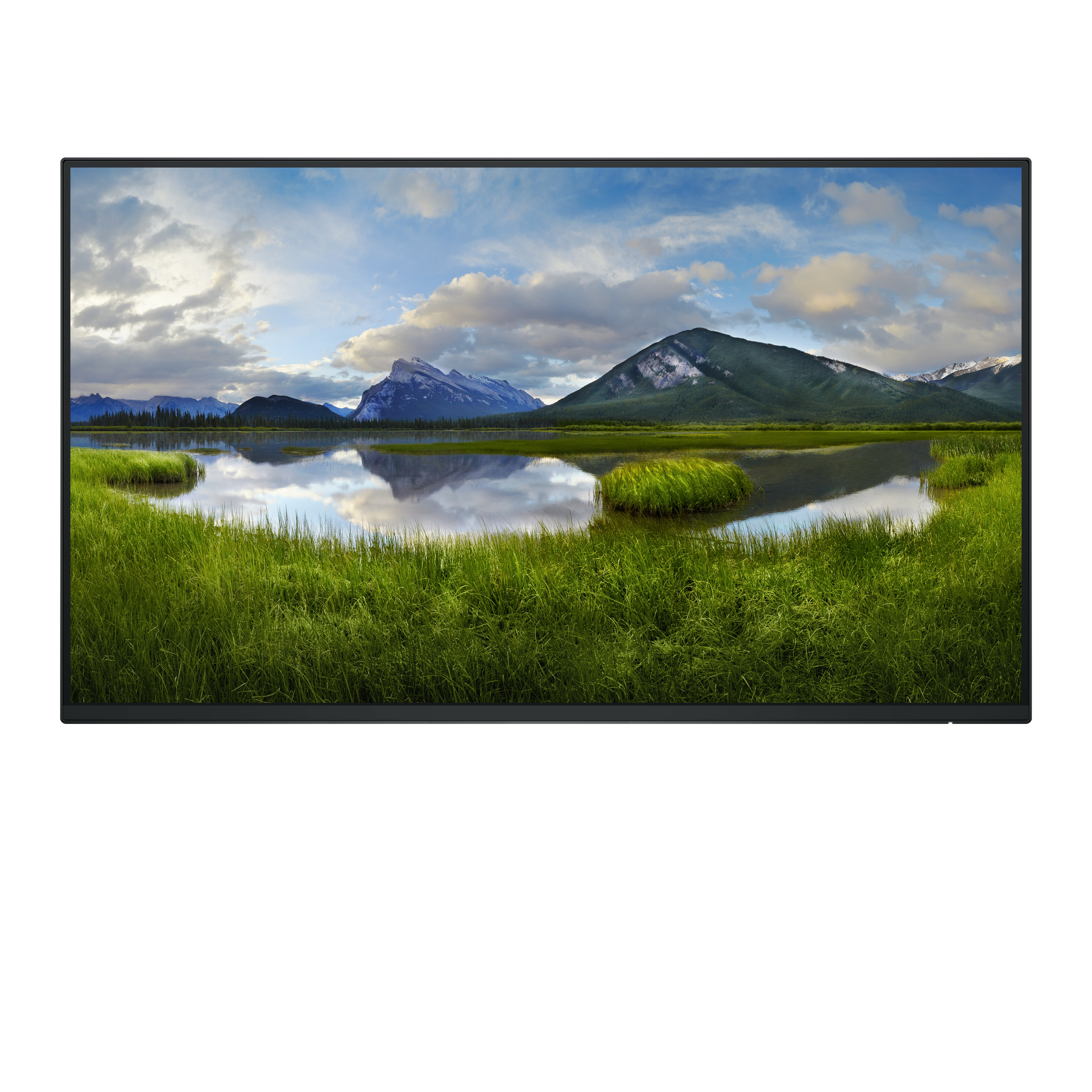DELL Dell 24 Monitor