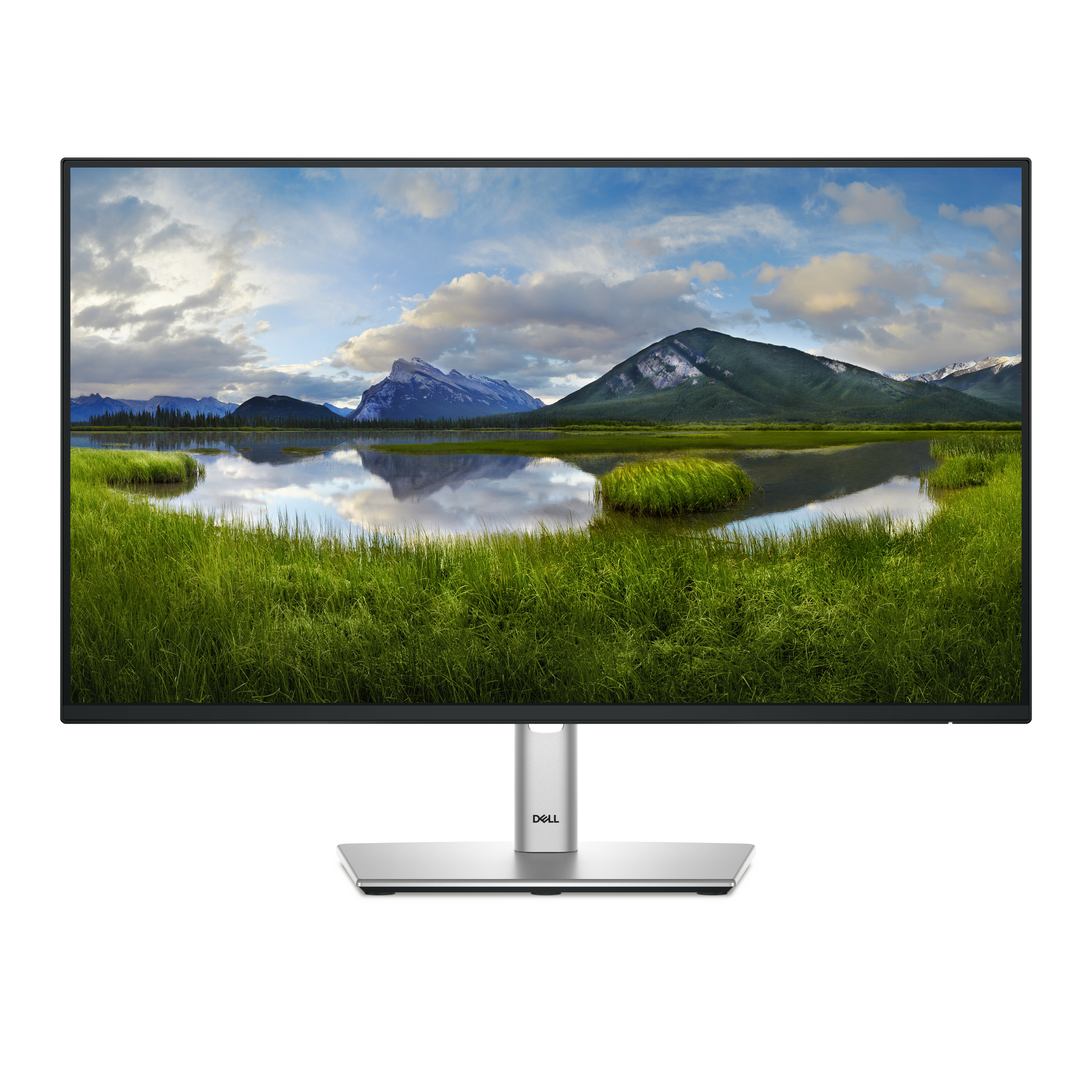 DELL Dell 24 Monitor