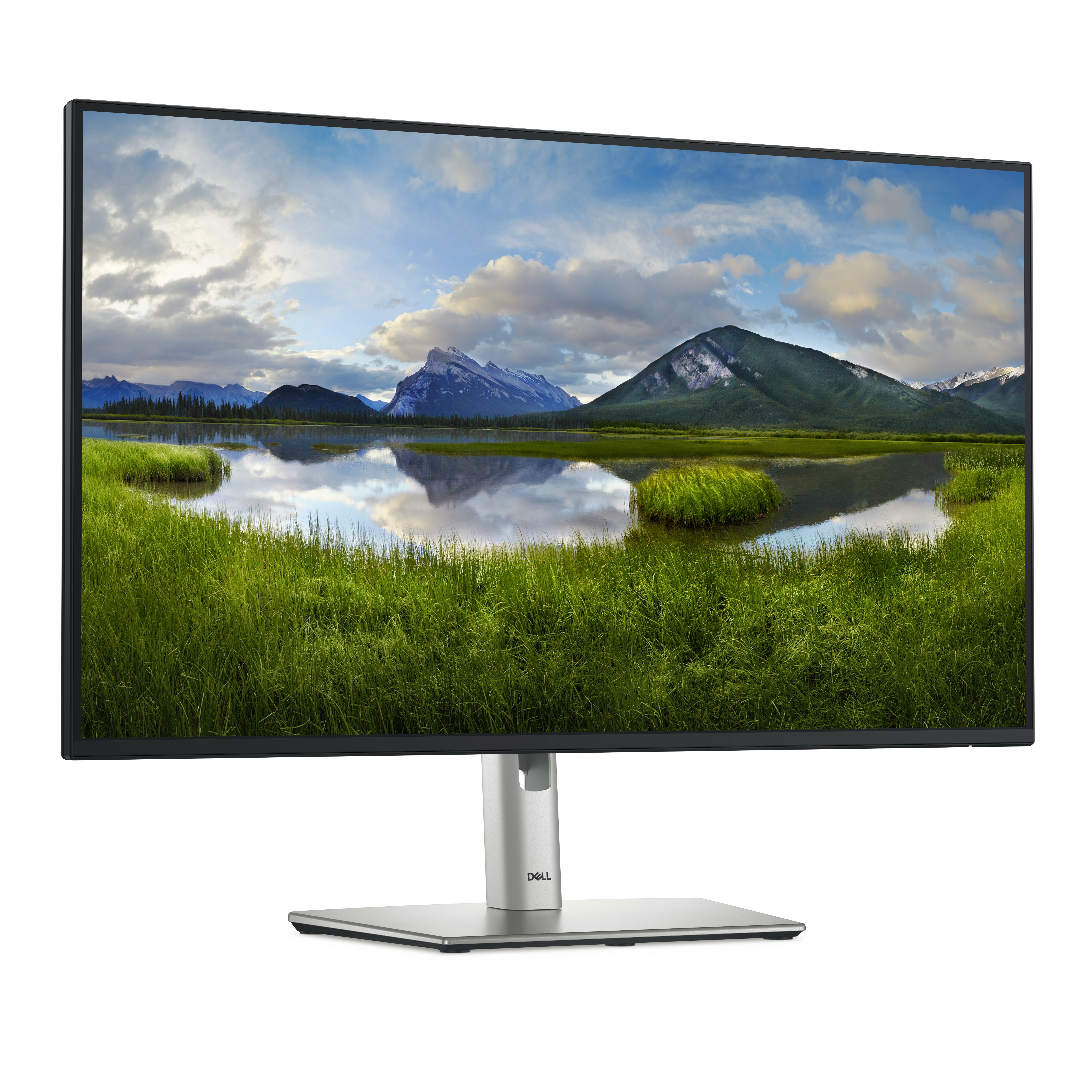 DELL 27 Monitor