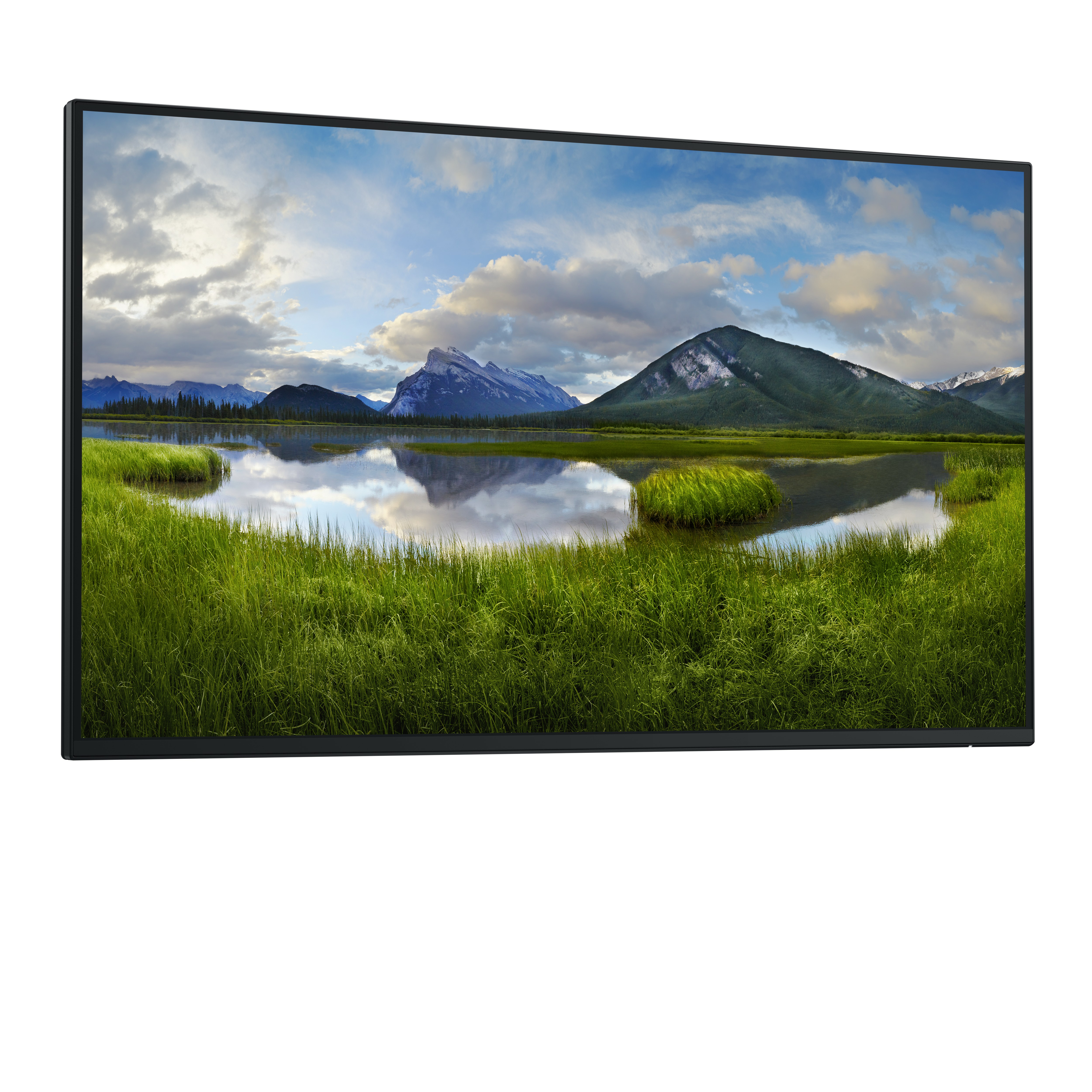 DELL 27 Monitor