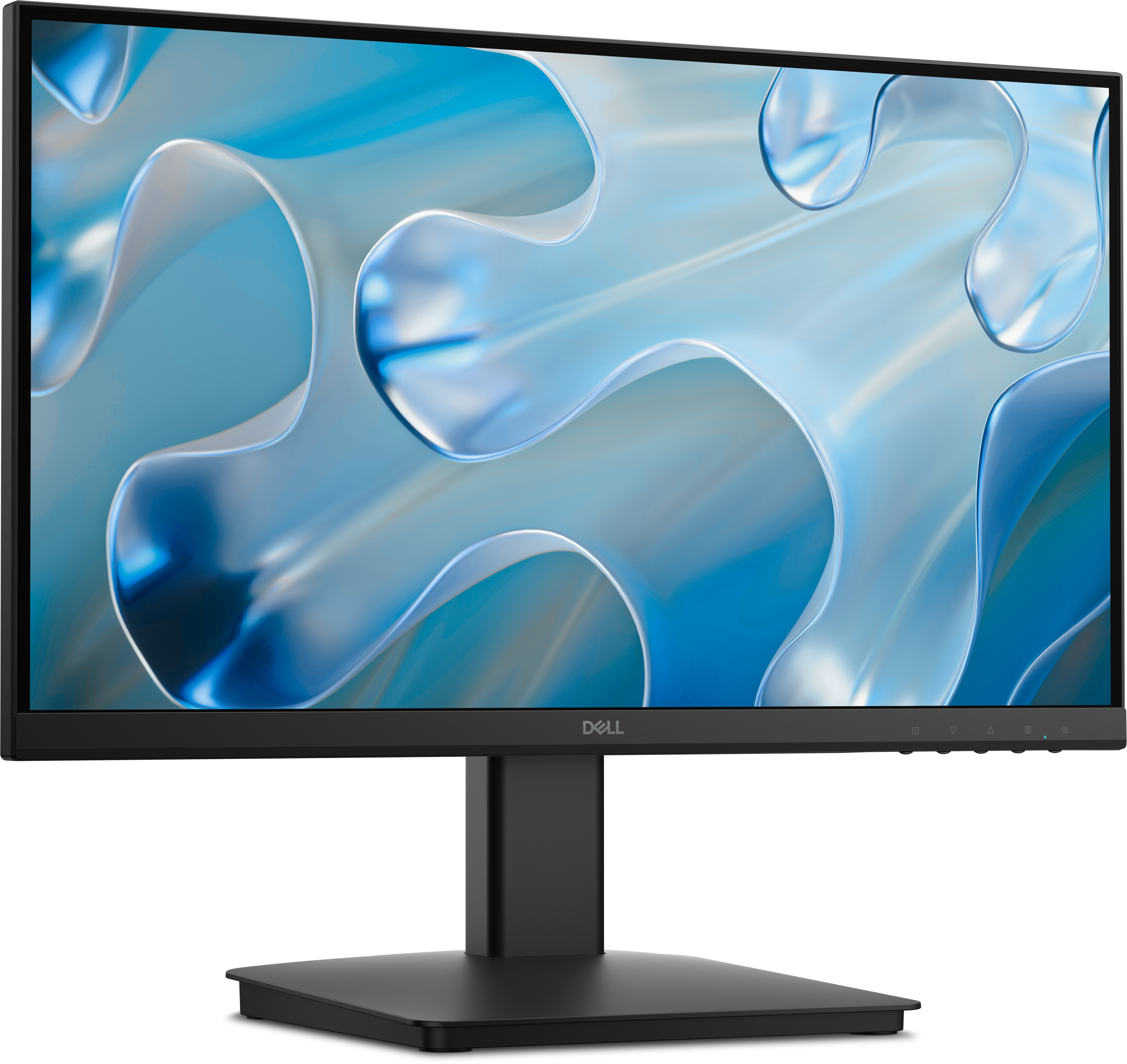 DELL Dell 22 Monitor