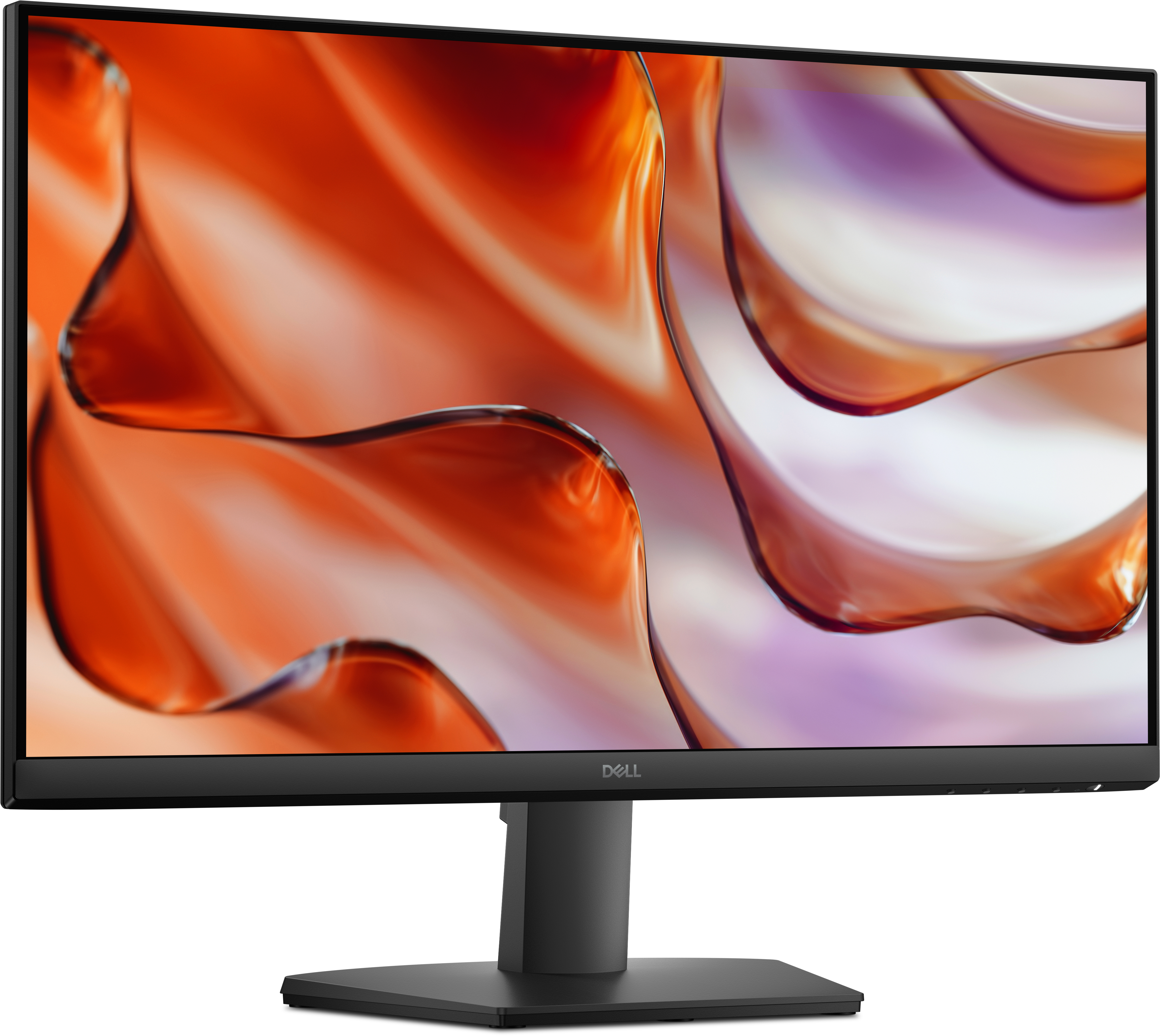 DELL Dell 24 Monitor