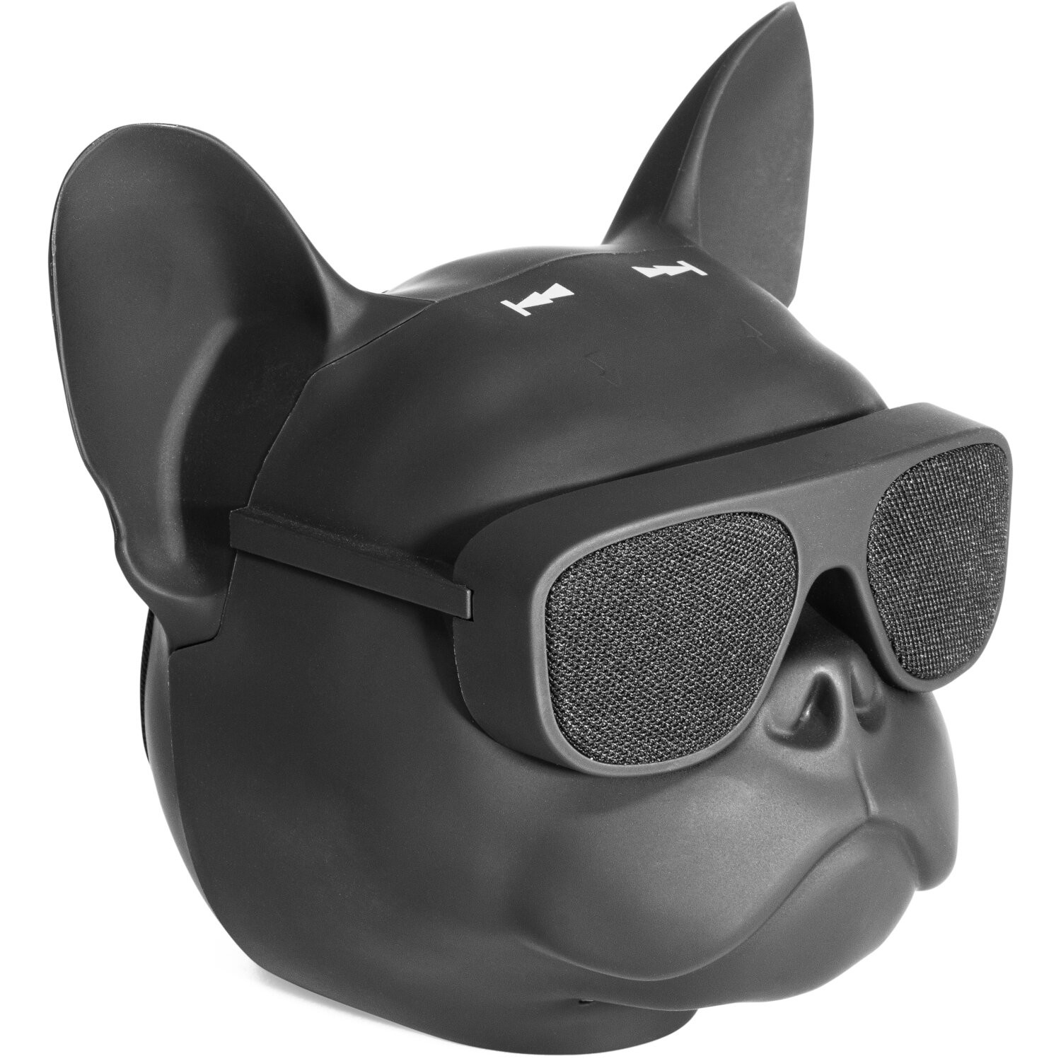 Ibiza Sound DOG-SOUND Enceinte portable mono Noir