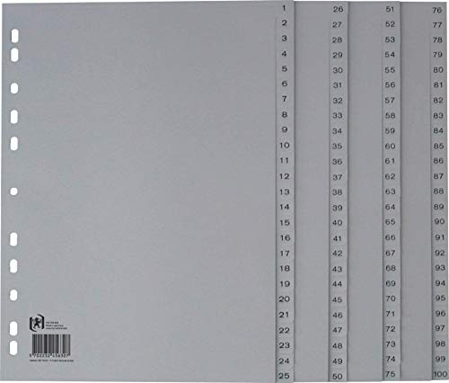 Oxford REGISTER PP A4 100-teilig 1-100