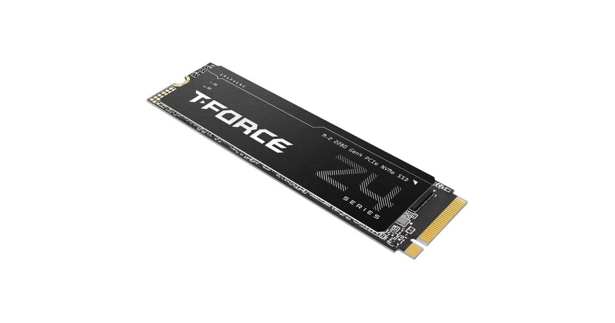 Team Group T-FORCE Z44A5 1 TB (PCIe 4.0 x4  M.2 2280)