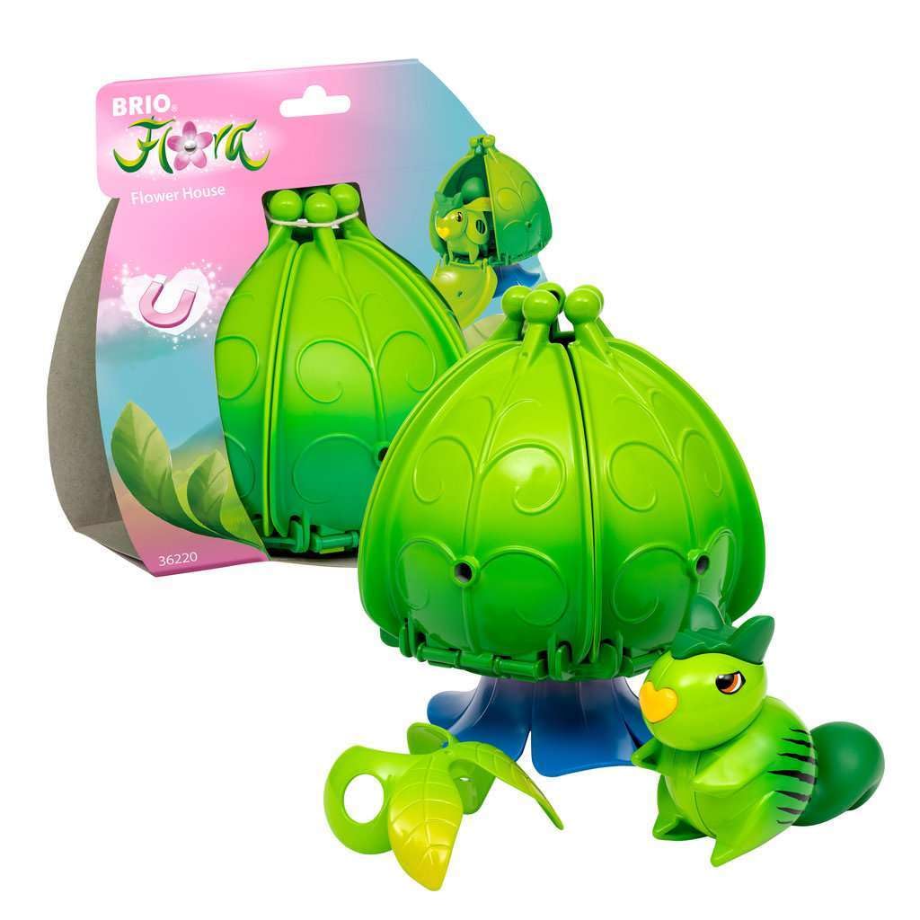 Brio Flora - Ivys Blumenhaus