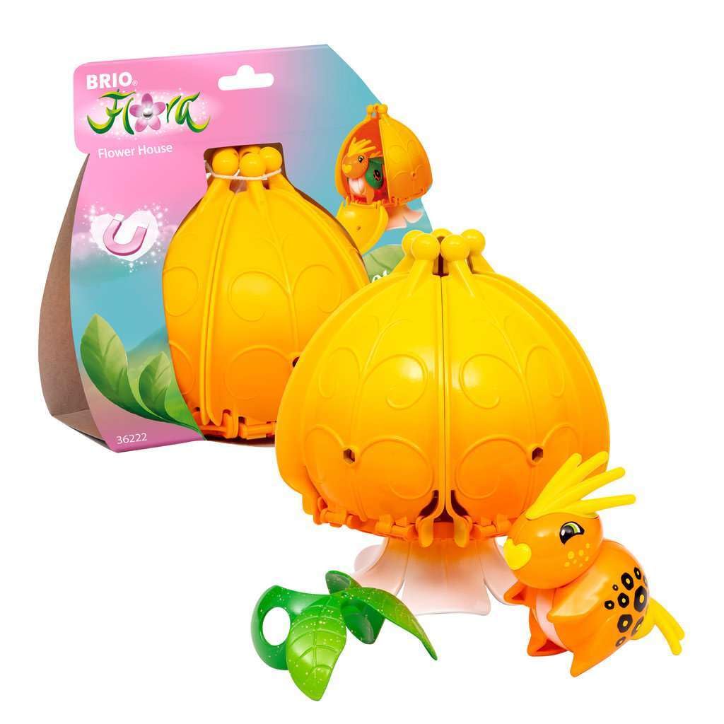 Brio Flora - Marigolds Blumenhaus