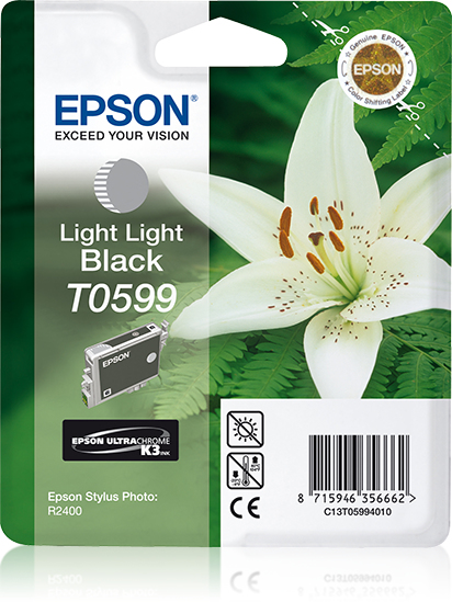 EPSON T0599