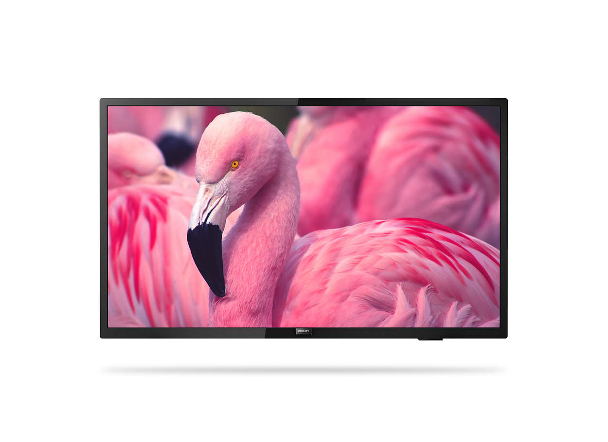 PHILIPS téléviseur professionnel 43