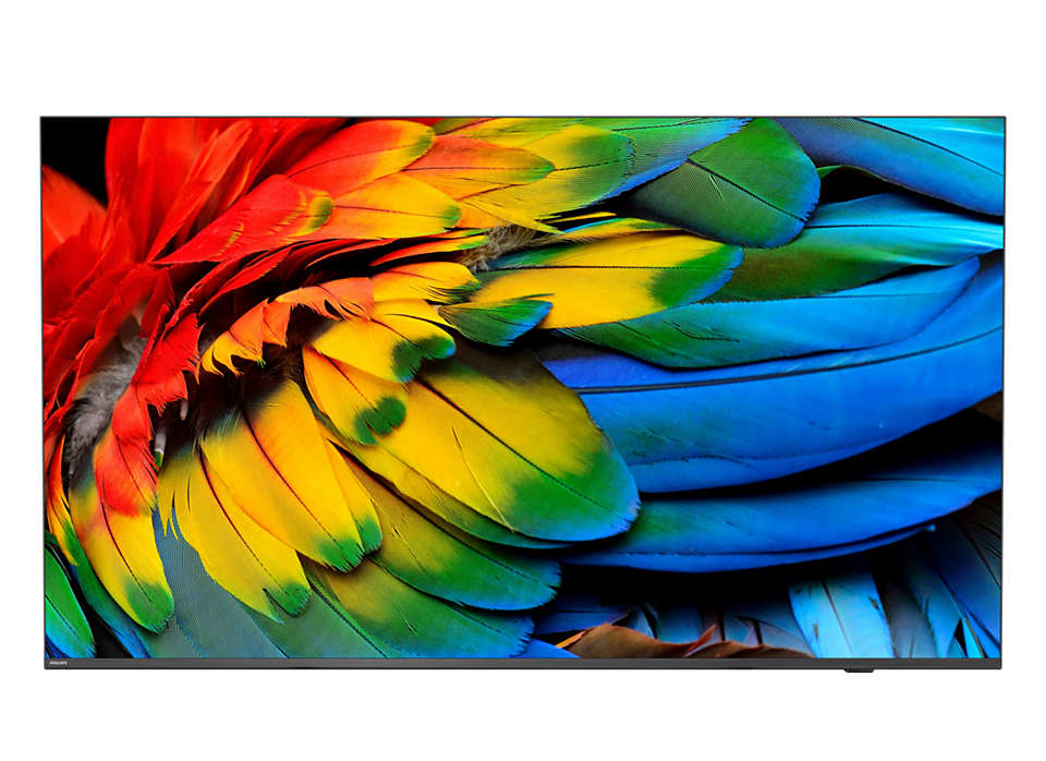 PHILIPS - Téléviseur professionnel 50