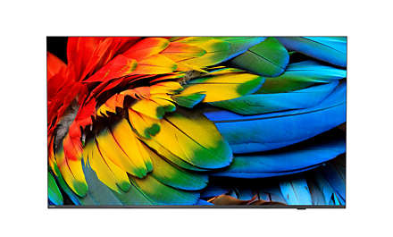 PHILIPS - Téléviseur professionnel 58