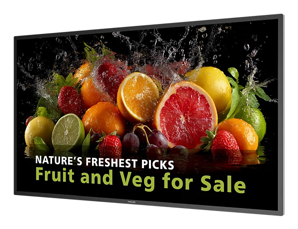 PHILIPS PHILIPS D-Line 43BDL5050D   109,2cm(43