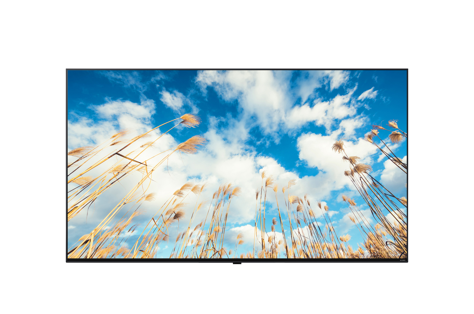 LG TV 65 LED 4K 65UM767H 3840 x2160/Smart TV webOS 3xHDMI/RJ45/USB