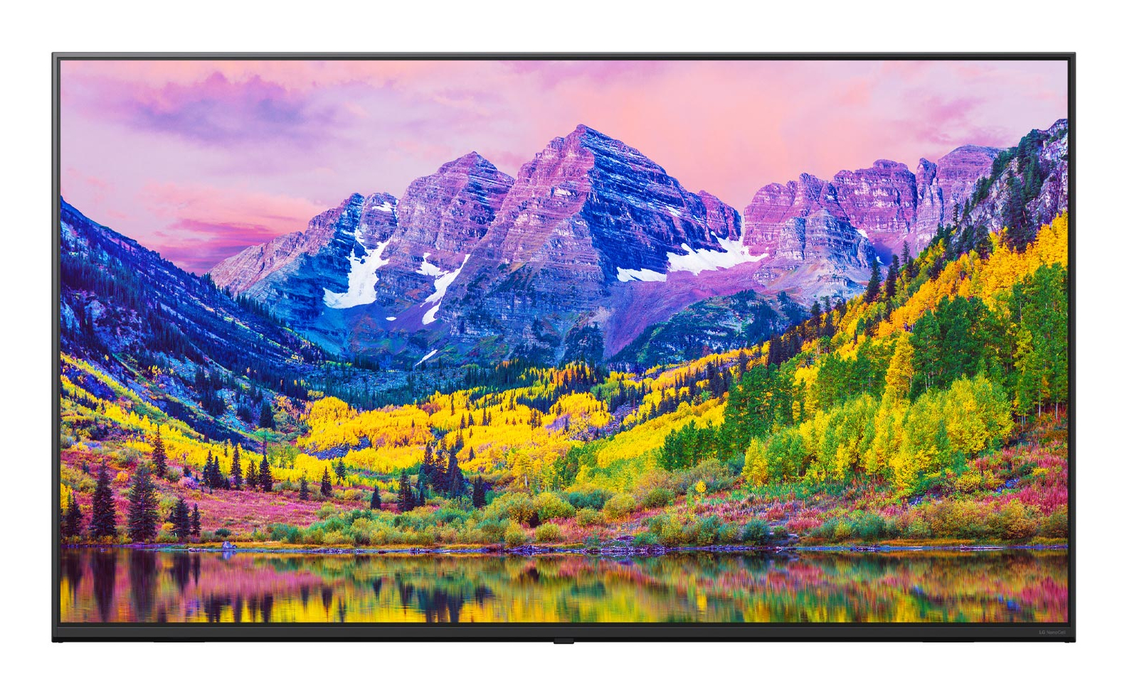 LG LG