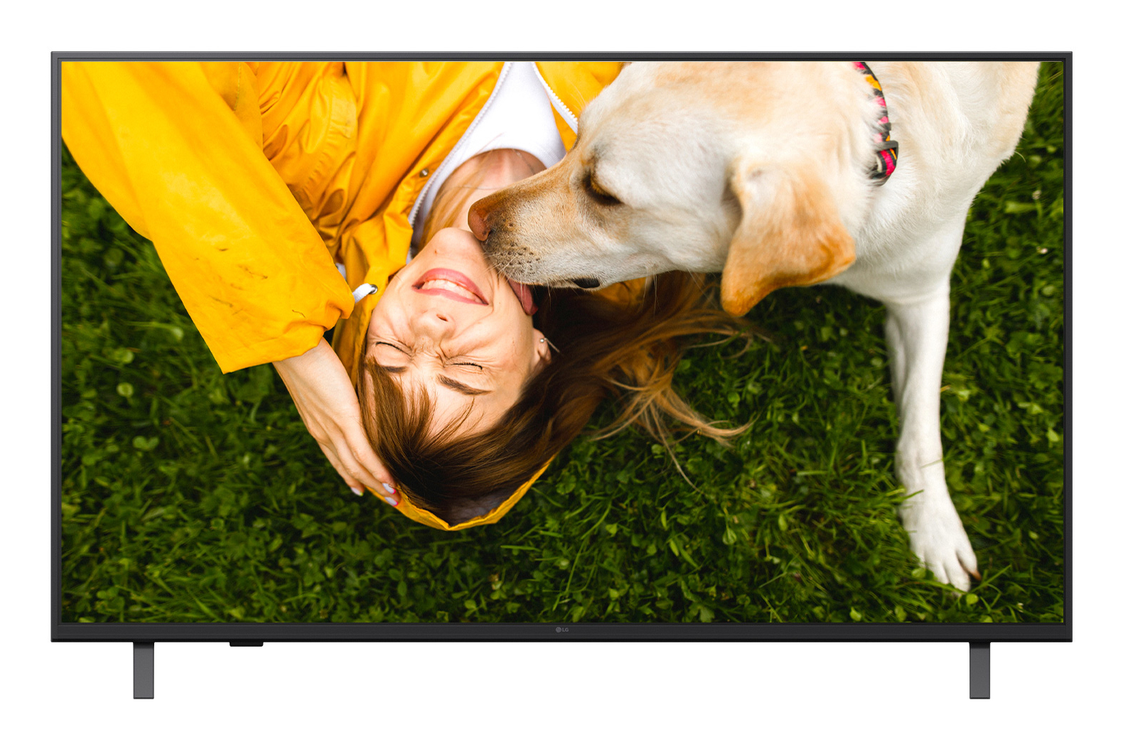 LG LG- Téléviseur Professionnel 65