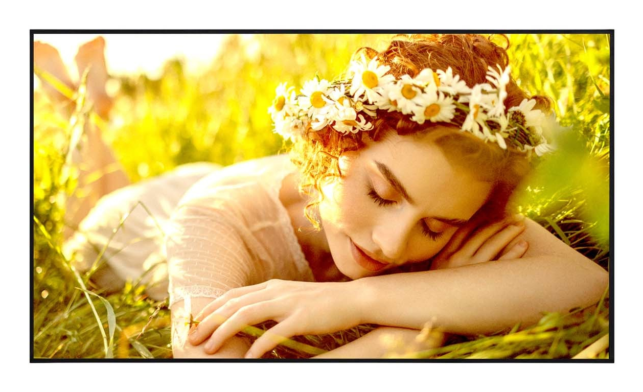 LG Écran TV 4K UHD 50UL5Q-E 50 Pouces 3840x2160