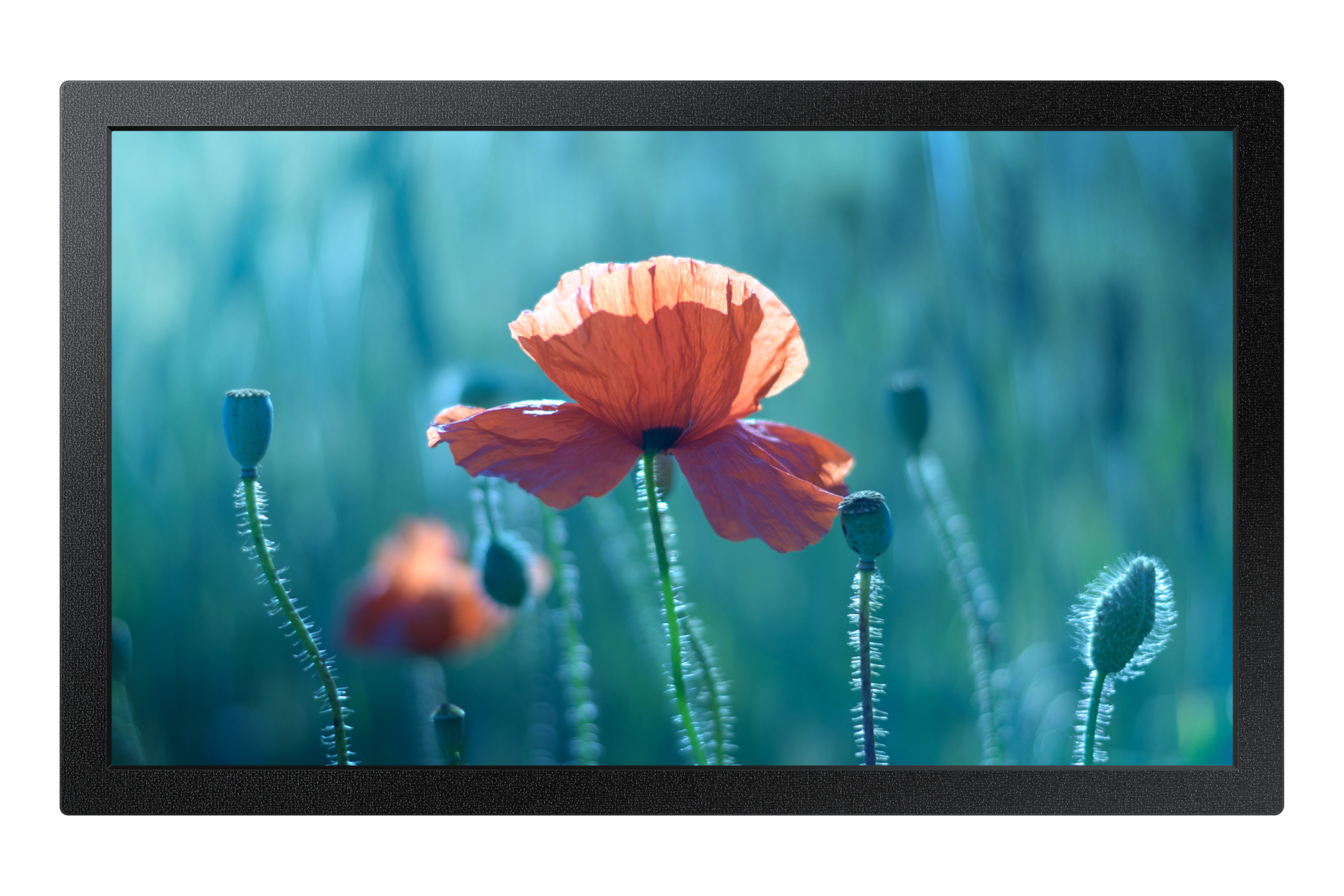 SAMSUNG ECRAN 13 '' LFD 16h/7j Full HD 1920x1080 16:9 500cd/m 800:1 Tizen 7.0 H
