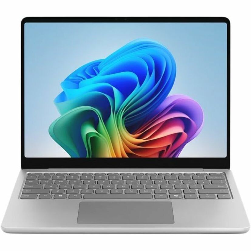 Microsoft Ordinateur Portable Surface Laptop 13 pouces 24 Go RAM 1 To SSD Platine Métal