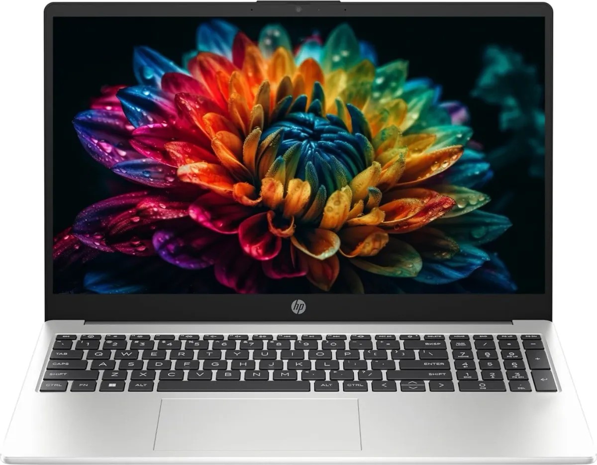 HP HP 255R G10 AMD Ryzen 3 7335U 15.6p FHD 8Go DDR5 256Go SSD ax+BT 3C Batt UMA W11P 1yr Wrty