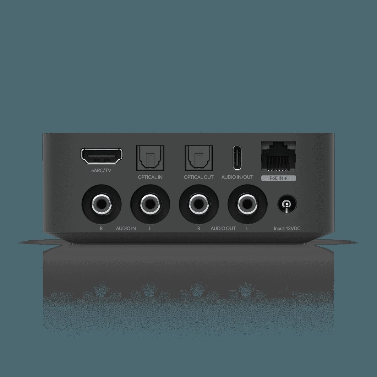 Ubiquiti PoE Audio Port (schwarz)